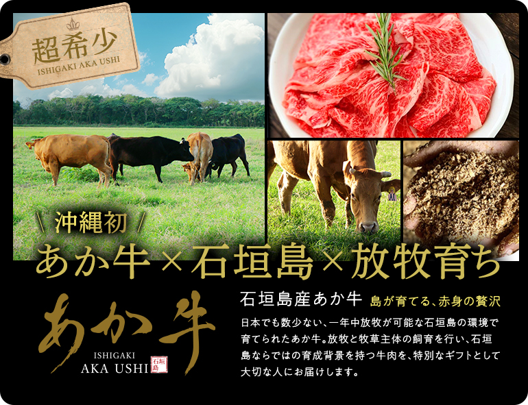 沖縄初あか牛