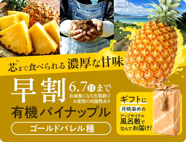 有機パイン早割予約