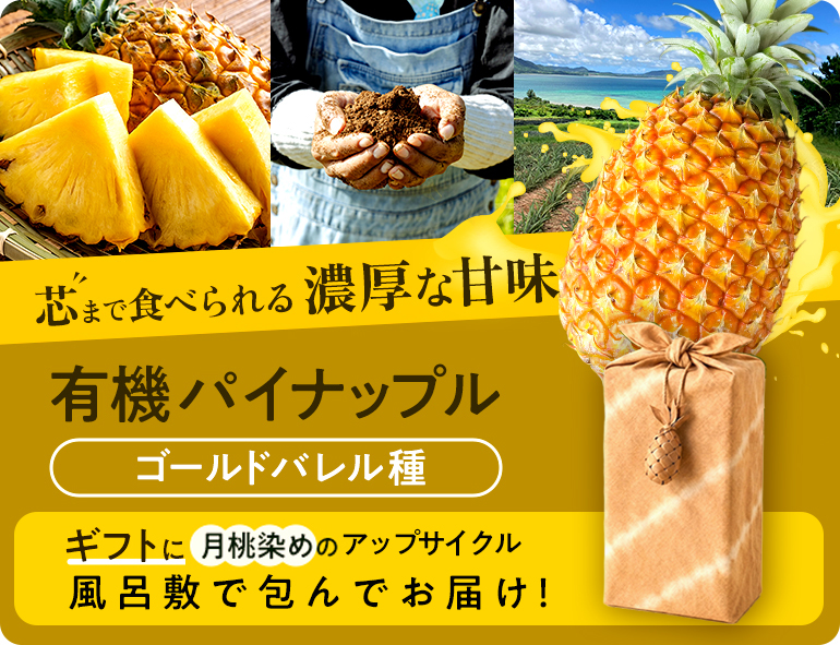 有機パイン早割予約