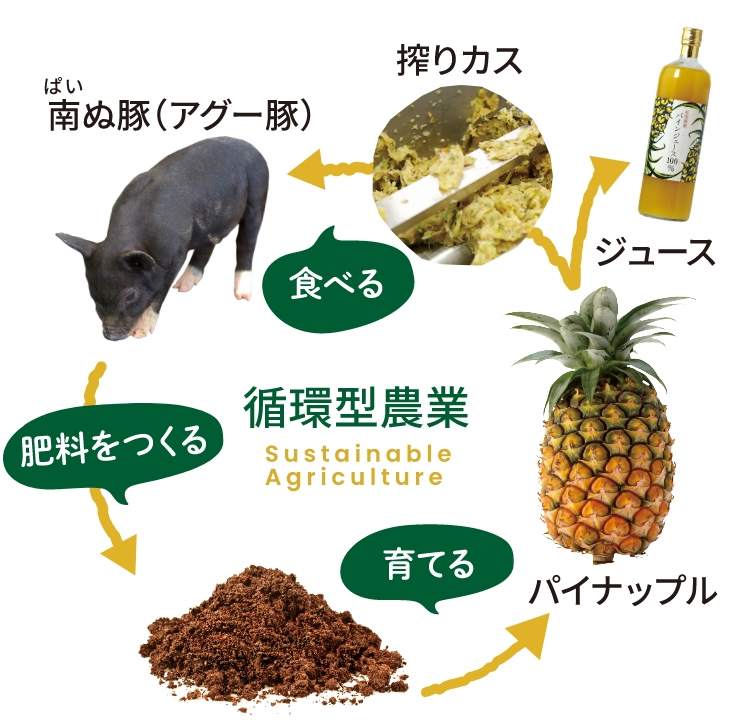 やえやまファームが目指す<br>「第六次産業」とは？