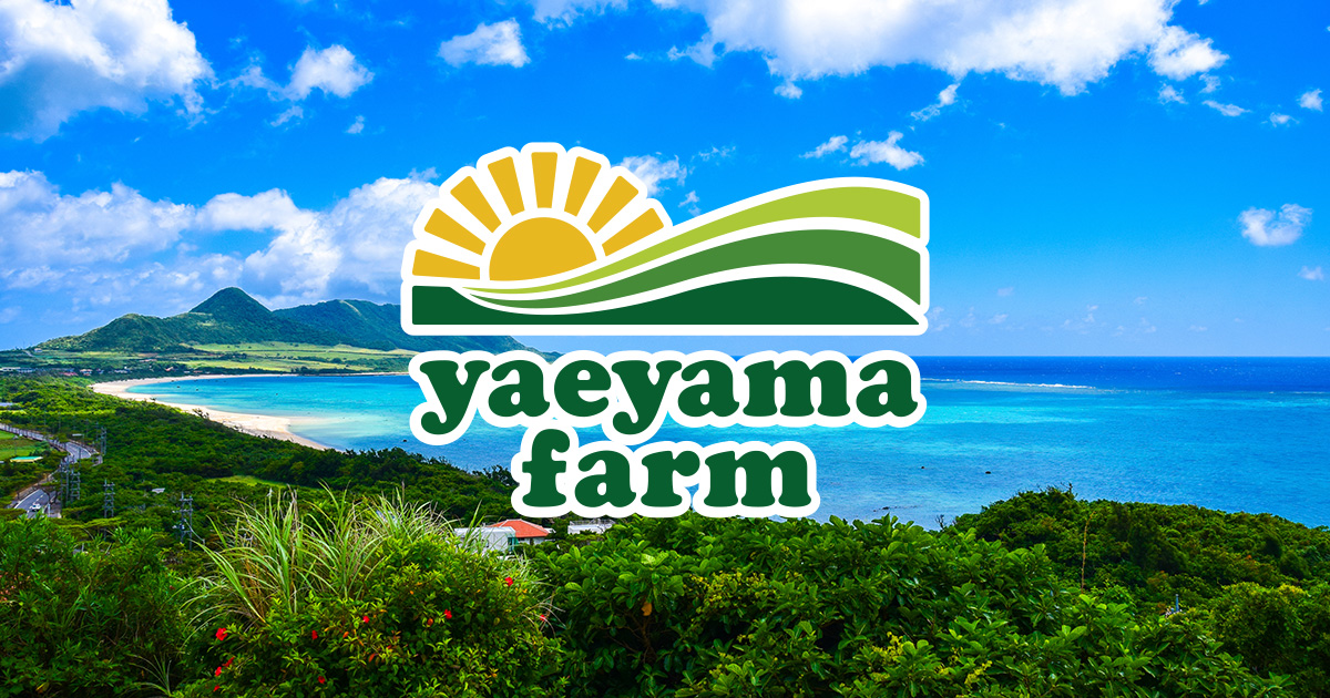 石垣島パイン・アグー豚の通販は｜やえやまファーム公式オンラインショップ|【送料無料】アグー豚(F1種) 南ぬ豚 湯煎ハンバーグ（デミグラス）　20個セット| 【公式】やえやまファームオンラインショップ～イメージ画像１～