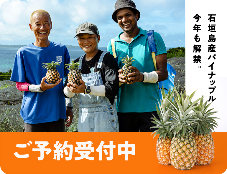 石垣パイン予約