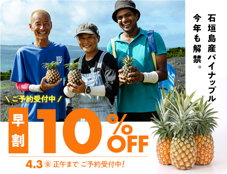 早割パイン予約
