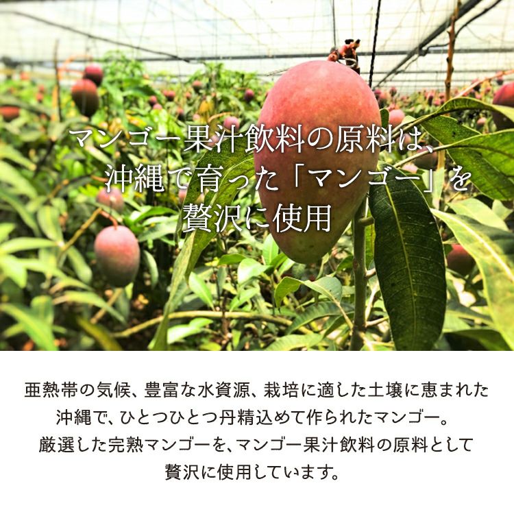 タイムサービス38ヤマシタマンゴー　耐寒性フルーツ 楽天市場】マウンテングルメラボ トレイルフルーツ 完熟マンゴー(90g
