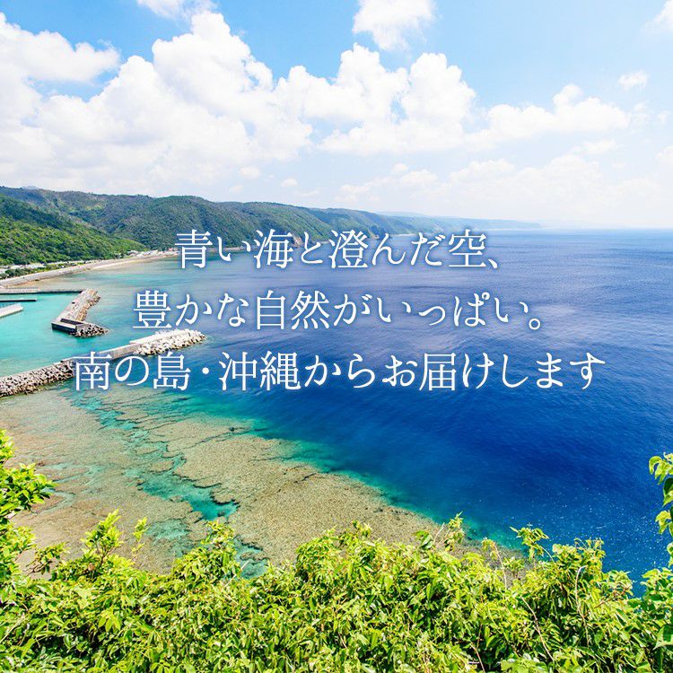 贅熟 沖縄県産マンゴー果汁飲料(50%) 500ml〈常温〉 | 【公式】やえ