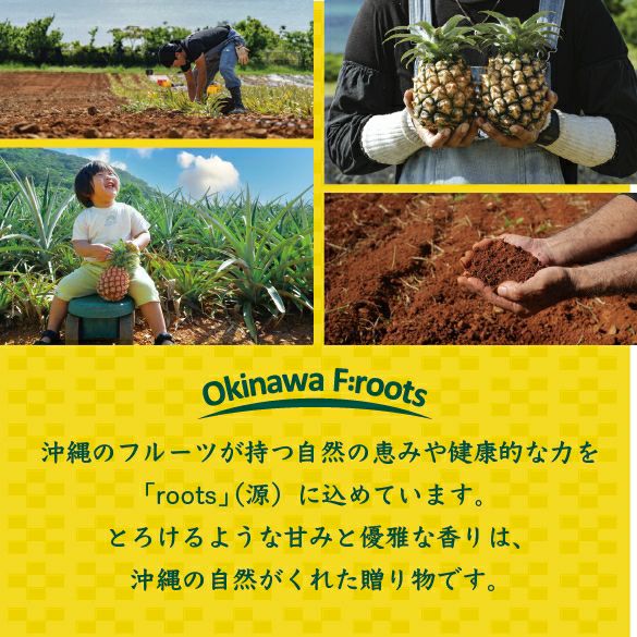 大宜味村産青切シークヮーサージュース(100%) 500ml〈常温〉 | 【公式