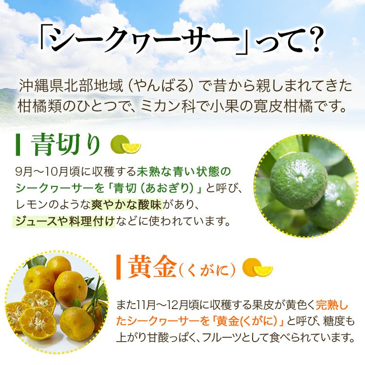 大宜味村産青切シークヮーサージュース(100%) 500ml 2本セット