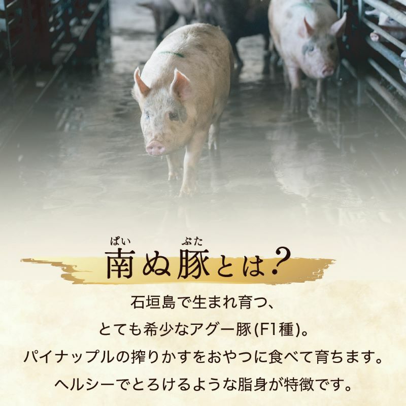 アグー豚(F1種) 南ぬ豚 ハンバーグ 10個セット ☆冷凍☆ | 【公式