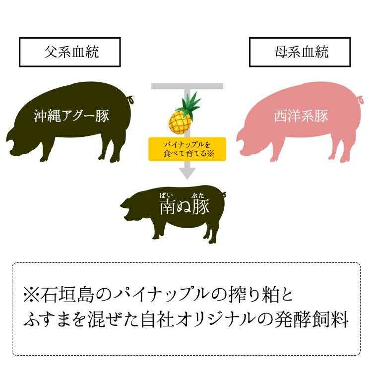アグー豚(F1種) 南ぬ豚 網脂ハンバーグ 6個セット ☆冷凍☆ | 【公式