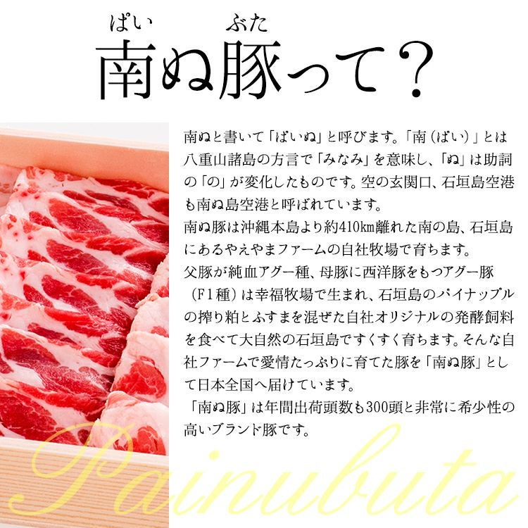 アグー豚(F1種) 南ぬ豚 網脂ハンバーグ 10個セット ☆冷凍☆ | 【公式