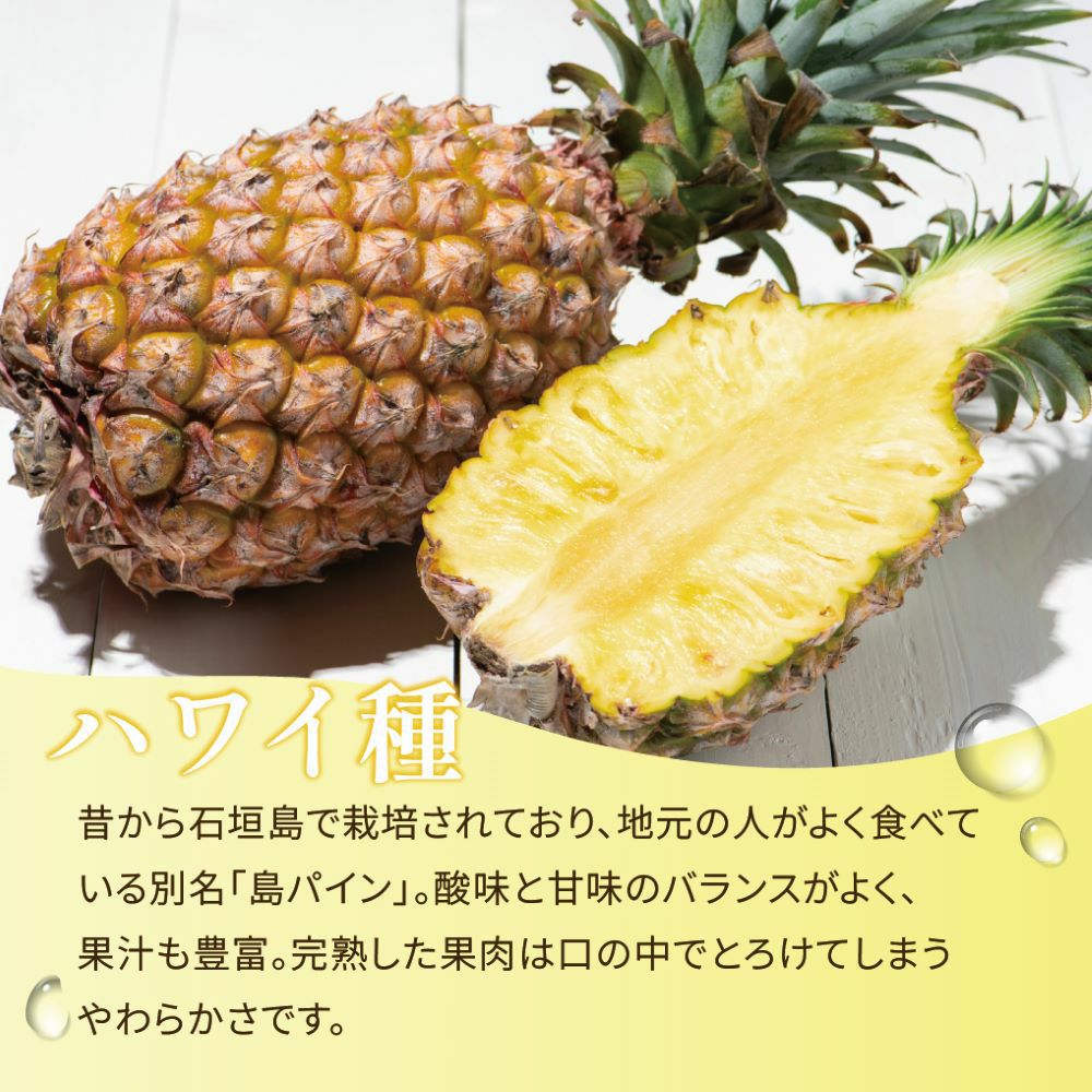 石垣島産パイナップル厳選ハワイ種詰合せ　特選10玉 ☆ポイント5倍☆【送料無料】石垣島産 島パイン・ハワイ種 約1kg(1～2