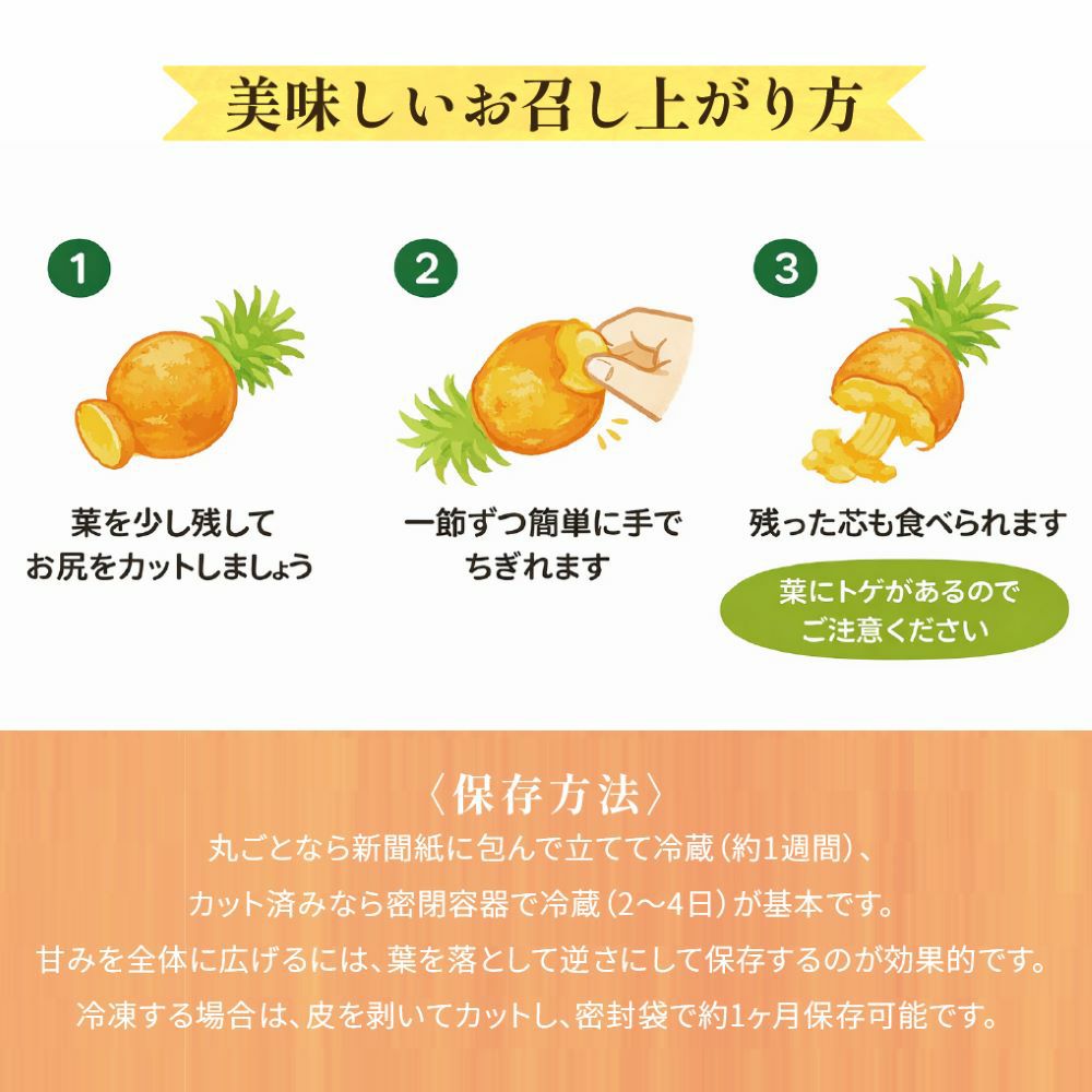 ☆ポイント5倍☆【送料無料】石垣島産 スナックパイン ボゴール種 約