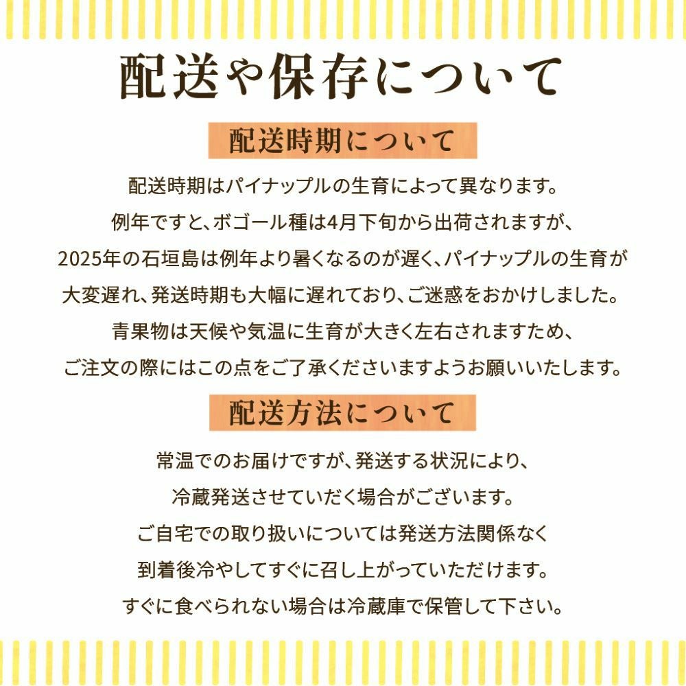 ☆ポイント5倍☆【送料無料】石垣島産 スナックパイン ボゴール種 約
