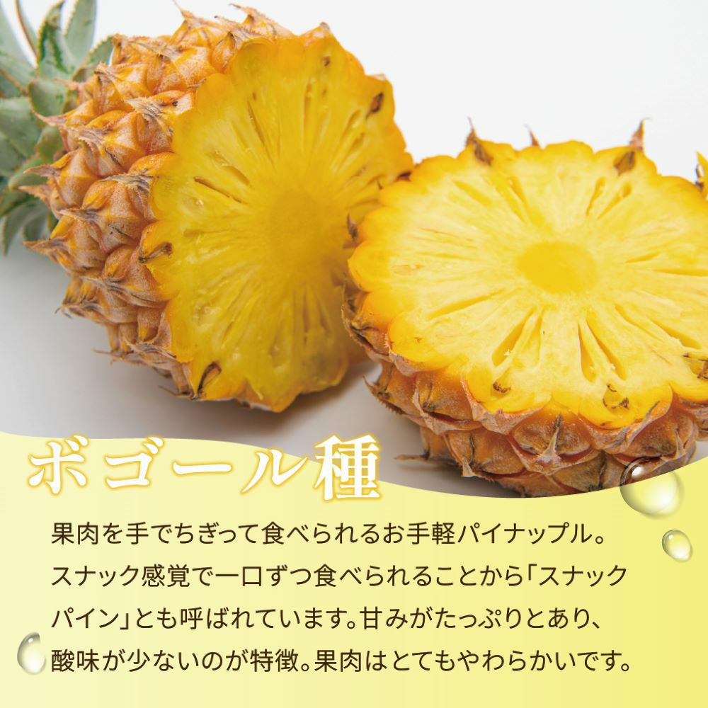 ☆ポイント5倍☆【送料無料】石垣島産 スナックパイン ボゴール種 約 ☆ポイント5倍☆【送料無料】石垣島産 スナックパイン ボゴール種 約