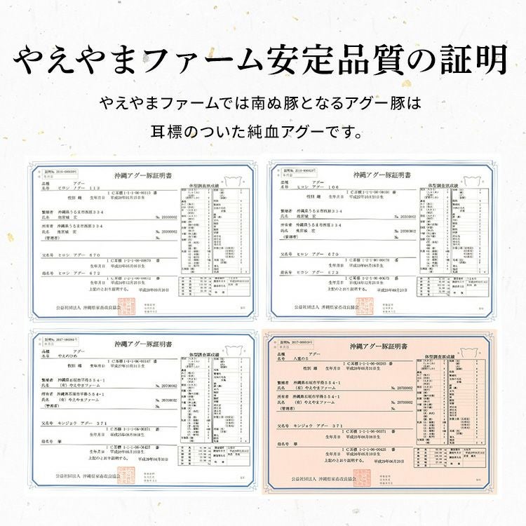 【母の日】【カーネーション付き】★『TBSの某番組』で紹介★南ぬ豚 網脂ハンバーグ　6個セット ☆冷凍☆
