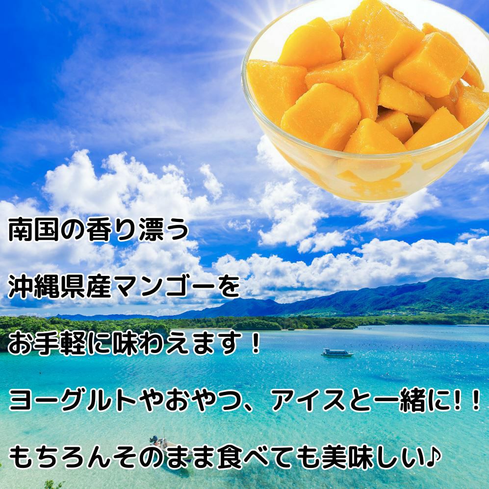 送料無料】 沖縄県産 カットマンゴー ☆冷凍☆ | 【公式】やえやま