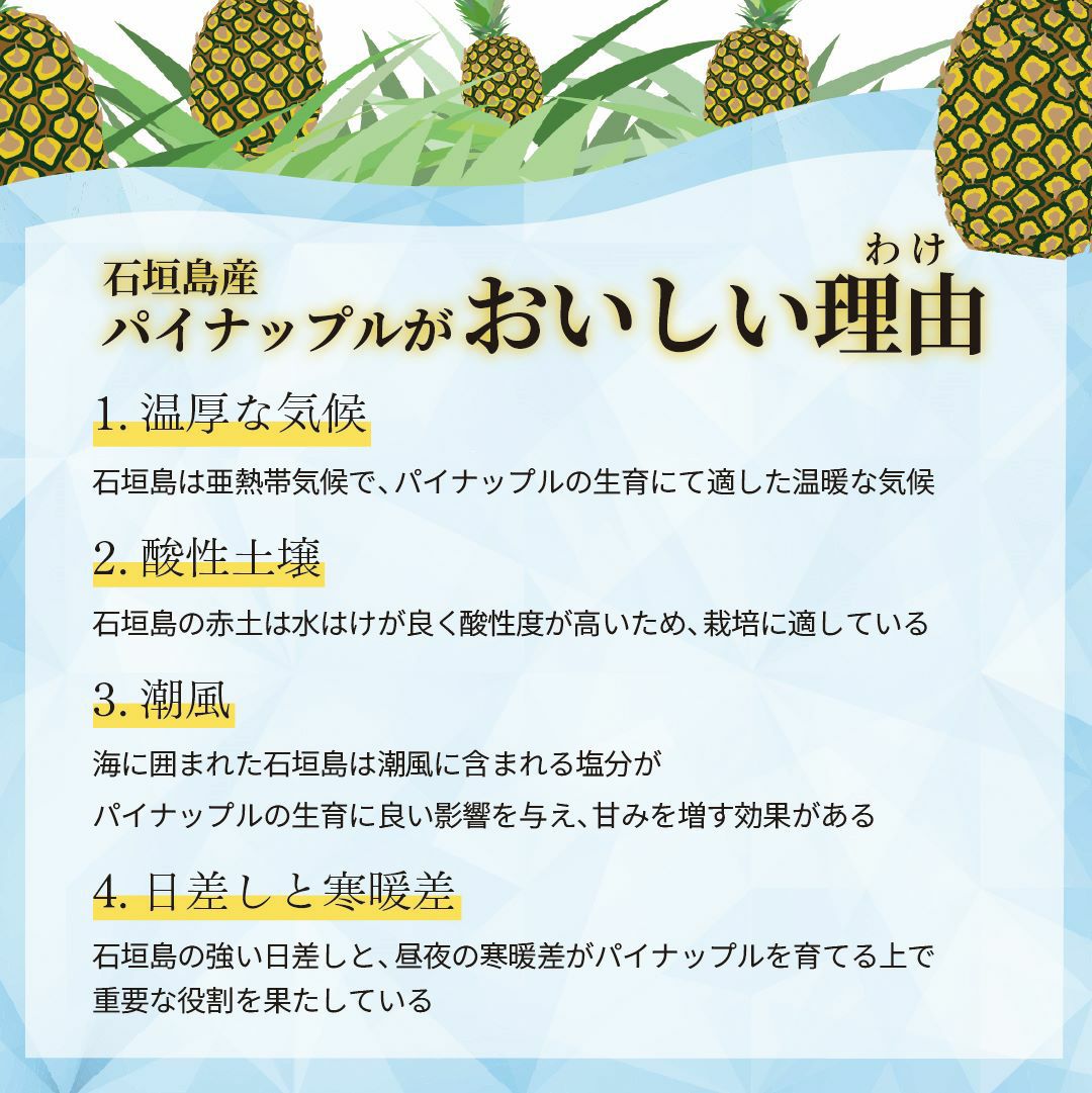 送料無料】 石垣島産 カットパイナップル ピーチパイン 900g ☆冷凍