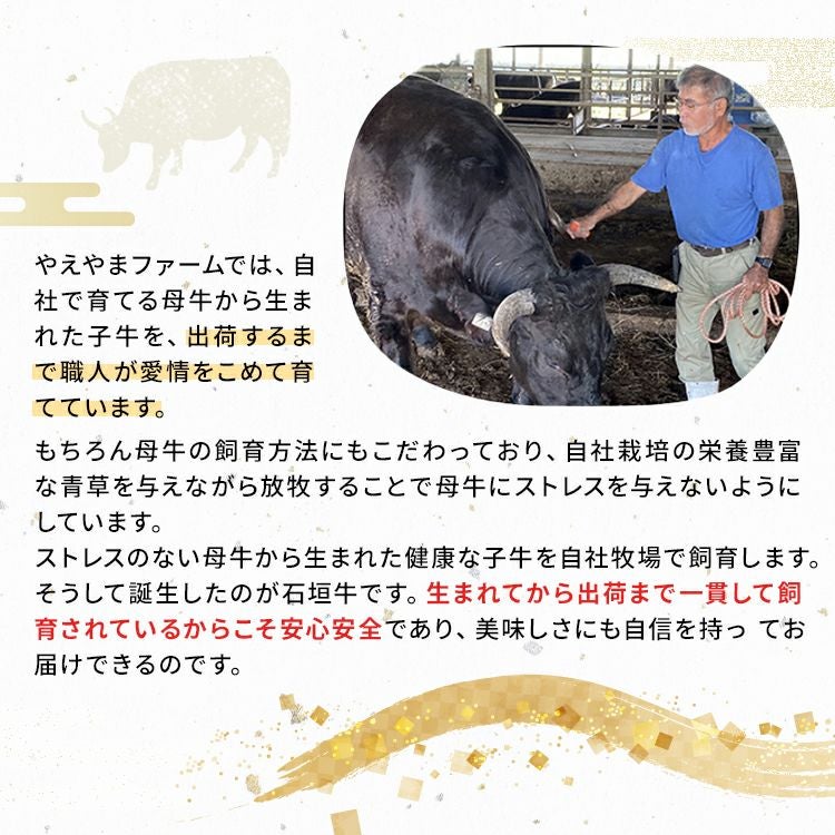 ヤギ（牛）　送料込み 送料無料】石垣牛ハンバーグ 6個セット ☆冷凍☆ | 【公式】やえやま