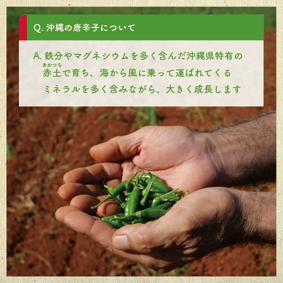 【saki toyoda(1/2)】青・緑、各360ｇ≪同時購入特割特価≫ 沖縄 青切スパイス 粗挽き一味唐辛子 | 【公式】やえやまファーム
