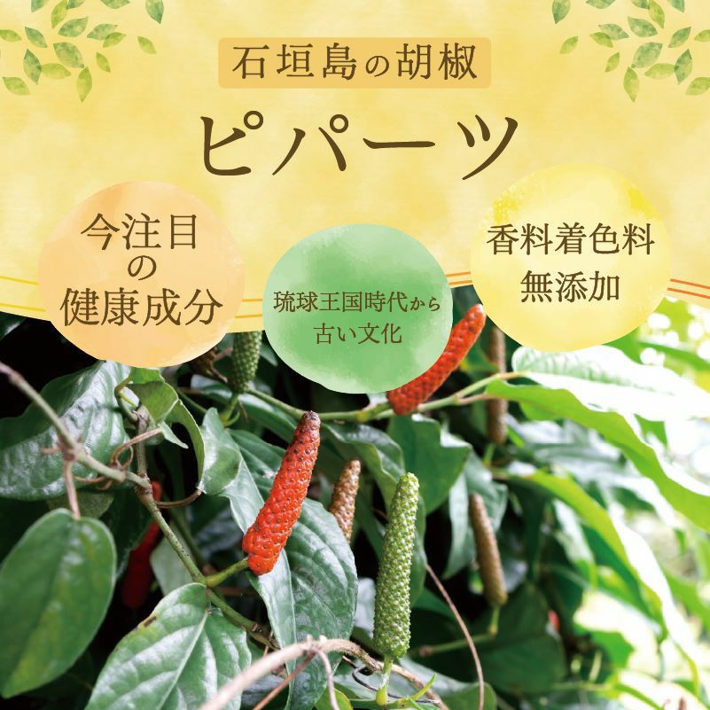 石垣島産ピパーツほぐして香る島胡椒 | 【公式】やえやまファーム
