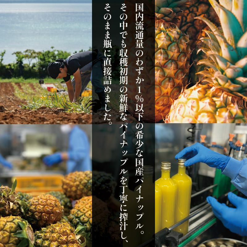 2025年初搾り石垣島産パイナップルジュース 直充＜ちょくじゅう