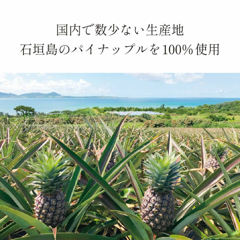 2025年初搾り石垣島産パイナップルジュース 直充＜ちょくじゅう