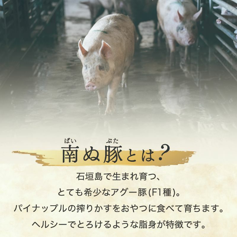 送料無料】石垣牛と南ぬ豚の堪能セット（小） | 【公式】やえやま
