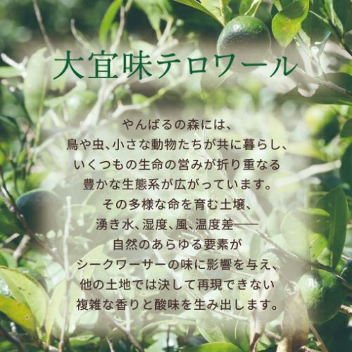 Okinawa F:roots】沖縄大宜味村産 青切シークワーサー 200ml | 【公式