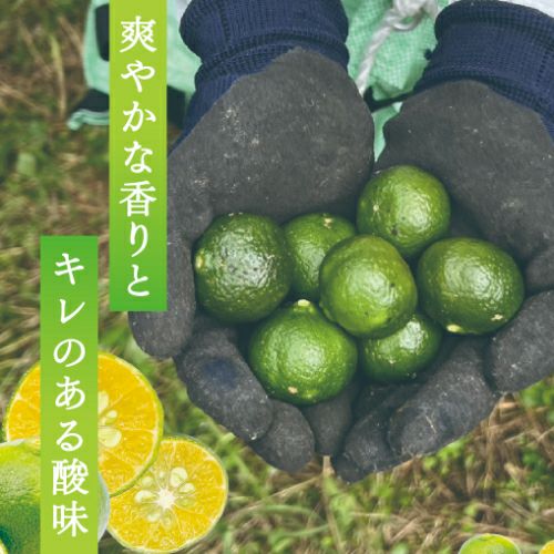 Okinawa F:roots】沖縄大宜味村産 青切シークワーサー 200ml | 【公式