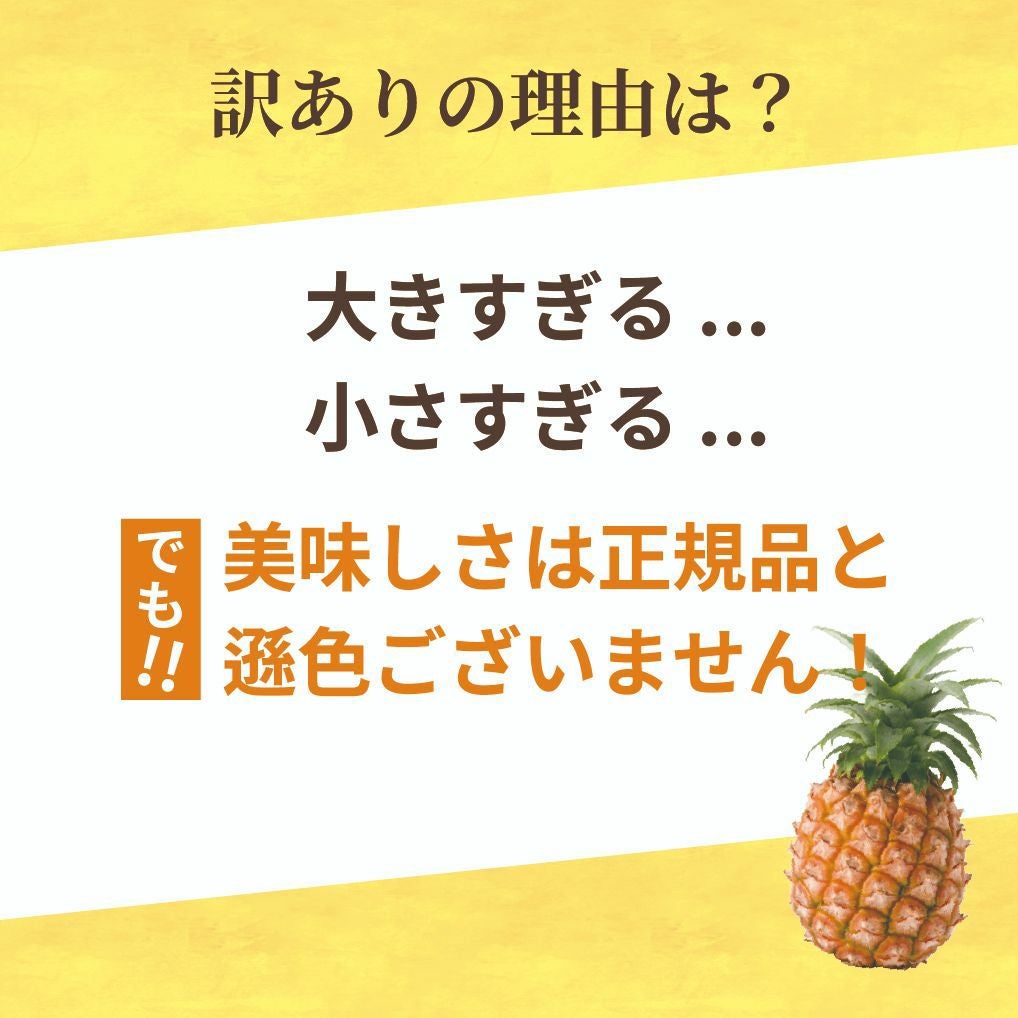 ☆ポイント5倍☆【送料無料】品種おまかせ 石垣島産パイナップル訳あり