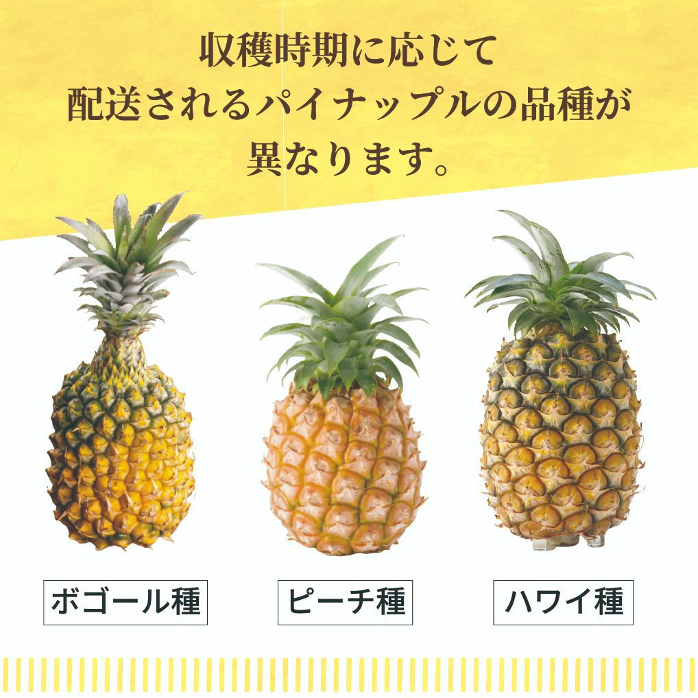 ☆ポイント5倍☆【送料無料】品種おまかせ 石垣島産パイナップル訳あり