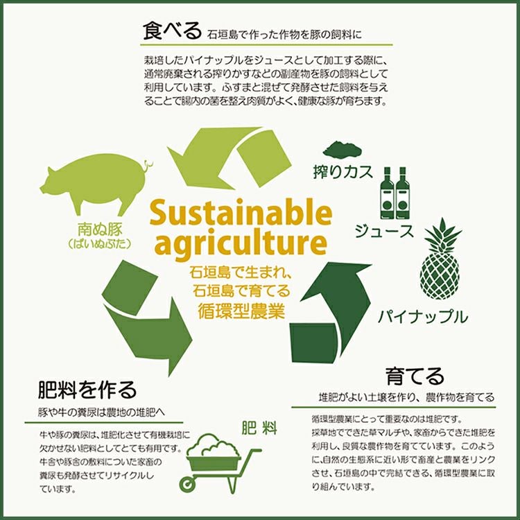 ☆ポイント5倍☆【送料無料】品種おまかせ 石垣島産パイナップル訳あり