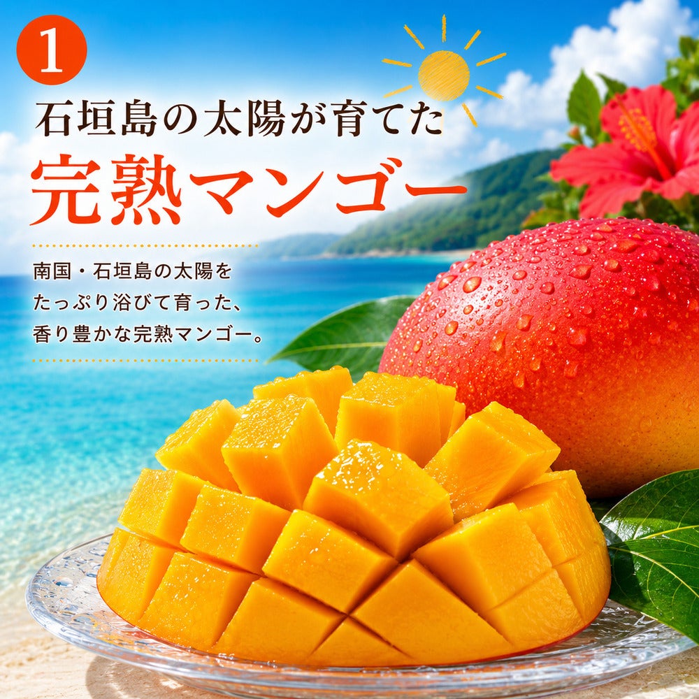 マンゴーcategory | 【公式】やえやまファームオンラインショップ